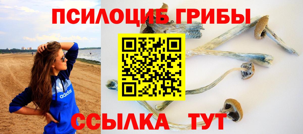 Псилоцибиновые грибы Psilocybine cubensis  Псилоцибиновые грибы Psilocybe  Сокол  Вход с VPN 